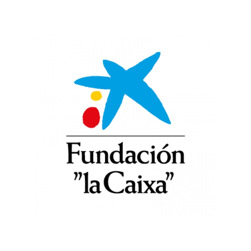 Entidad colaboradora